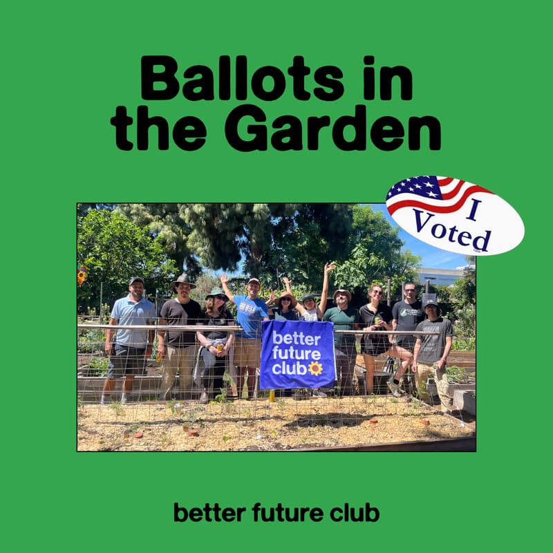 Cover Image for 🌱 Ballots In the Garden