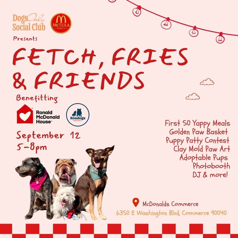 Cover Image for Fetch, Fries & Friends