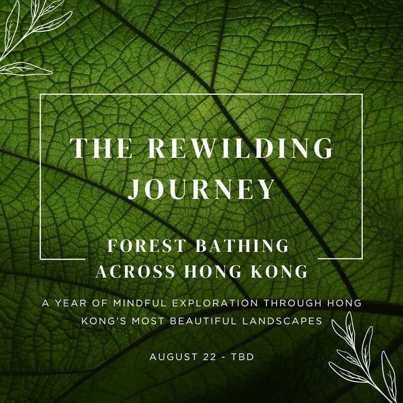 Cover Image for Save the Date: The Rewilding Journey: Forest Bathing Across Hong Kong
