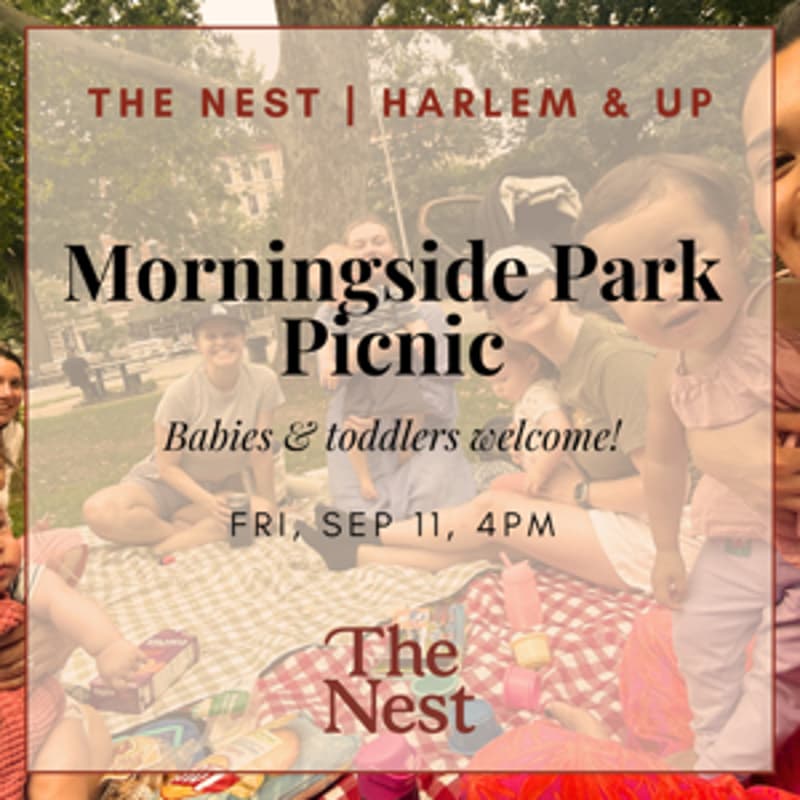 Cover Image for Morningside Park Picnic | The Nest Harlem & Up