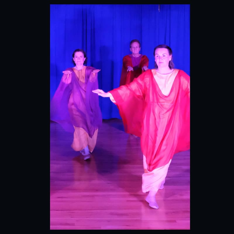 Cover Image for Novalis Branch & Pacific Eurythmy Workshop