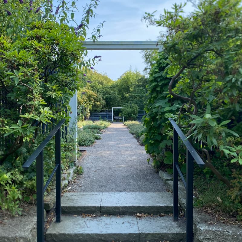 Cover Image for Secrets of Nature: Outdoor Escape Room
