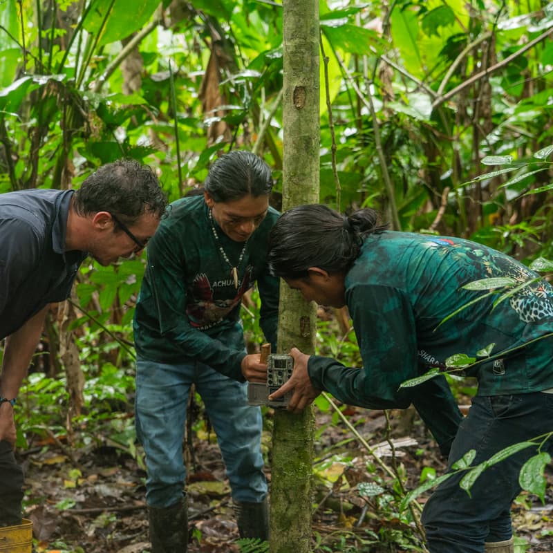 Cover Image for Financing Indigenous Territorial Stewardship: Building New Pathways for the Amazon