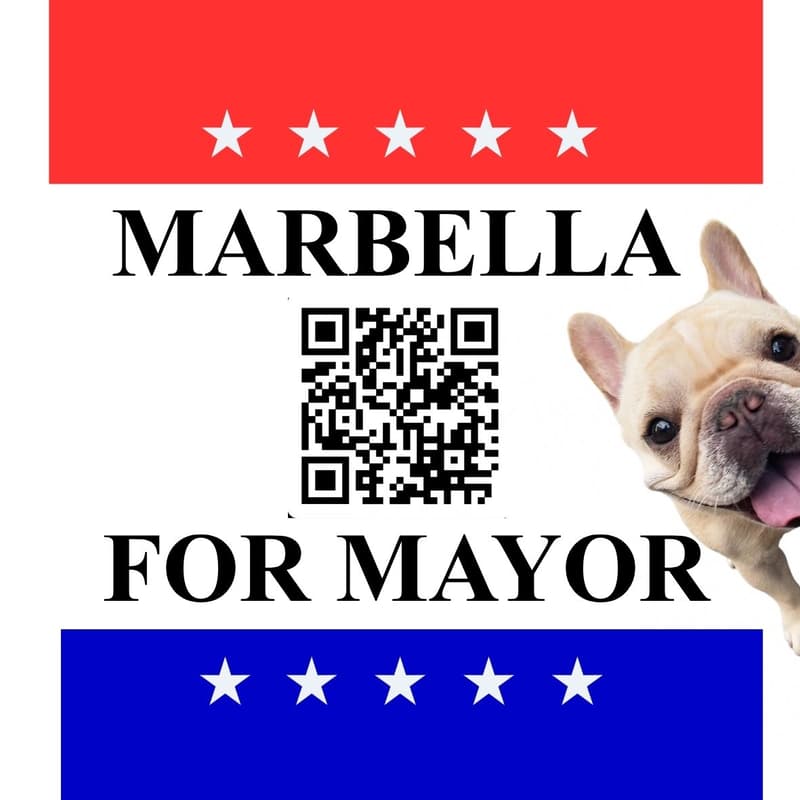 Cover Image for Marbella for Mayor: Dog Meetup with Hound Honey + Dog Wash Club