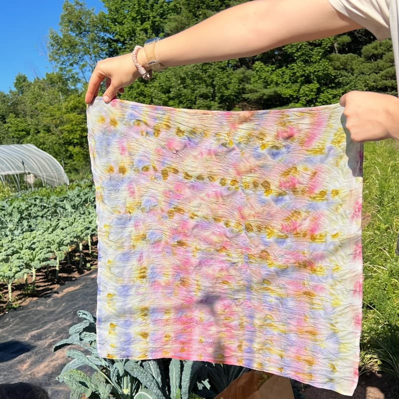 Cover Image for Natural Dye Workshop: Bundle Dye with Flowers