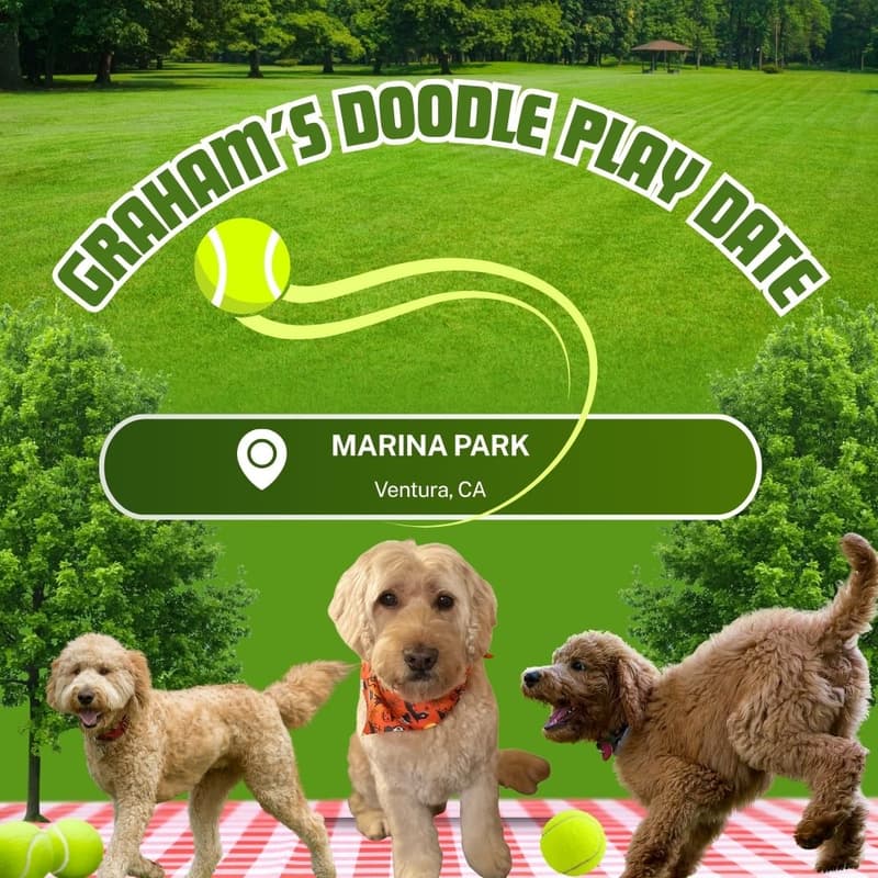 Cover Image for Graham's Doodle Play Date