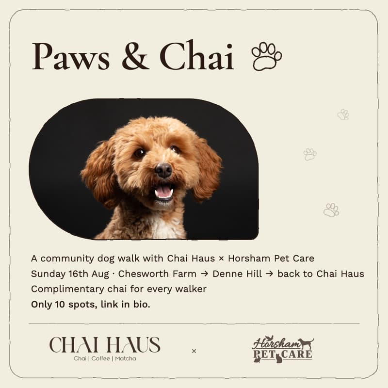 Cover Image for Paws & Chai by Chai Haus & Horsham Pet Care