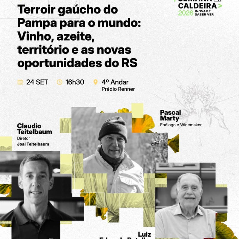 Cover Image for Terroir Gaúcho: vinhos e azeites do Pampa para o mundo