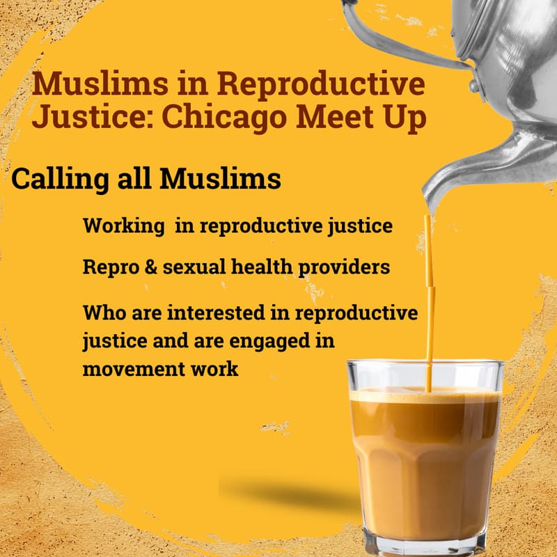 Cover Image for Muslims in Reproductive Justice: Chicago Meet Up
