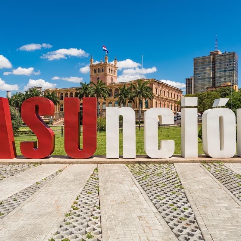 Cover Image for mate.dev/Asunción