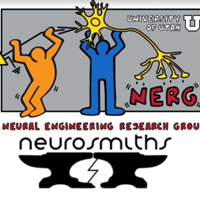 Cover Image for NERG Seminar: Neurosmiths - neural correlates of learning inferences under uncertainty