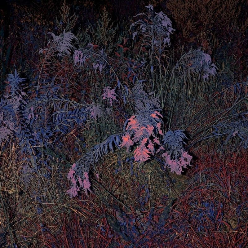 Cover Image for 25.10 Art Club - „Ciała ziemi. Ciała nasze” (Gdańsk)
