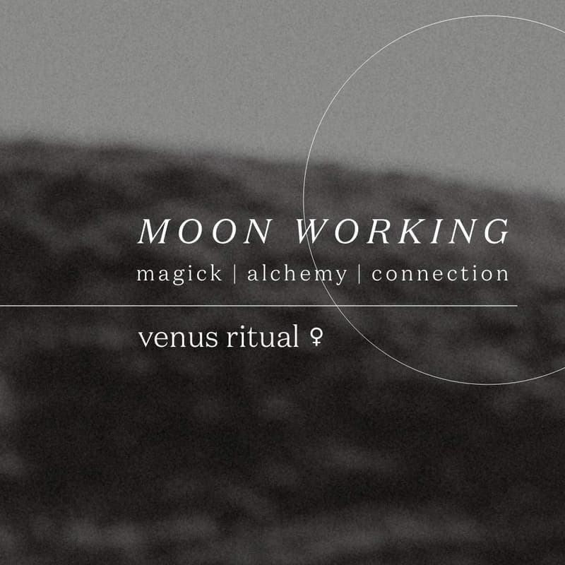 Cover Image for MOON WORKING | free venus ritual