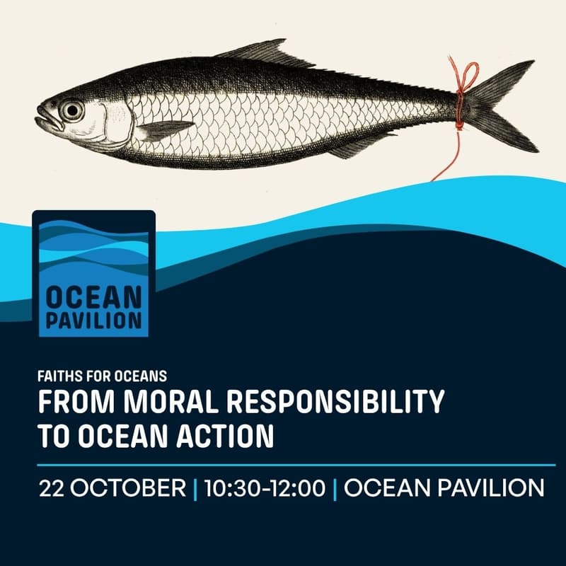 Cover Image for Faiths for Oceans: From Moral Responsibility to Ocean Action