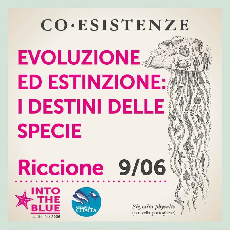Cover Image for Evoluzione ed estinzione: i destini delle specie
