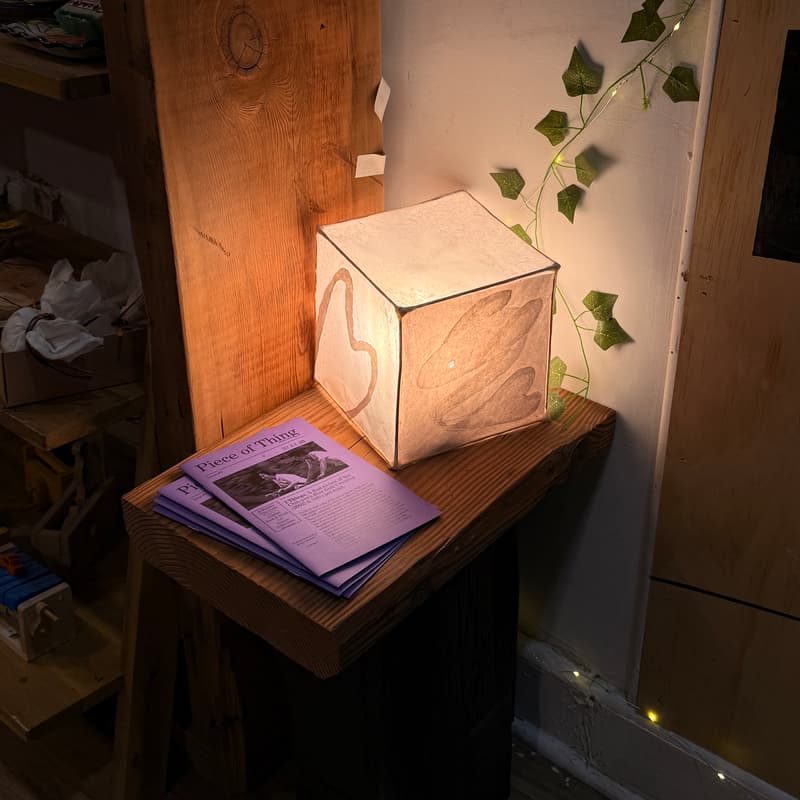 Cover Image for Paper Lamps: Light & Shadow