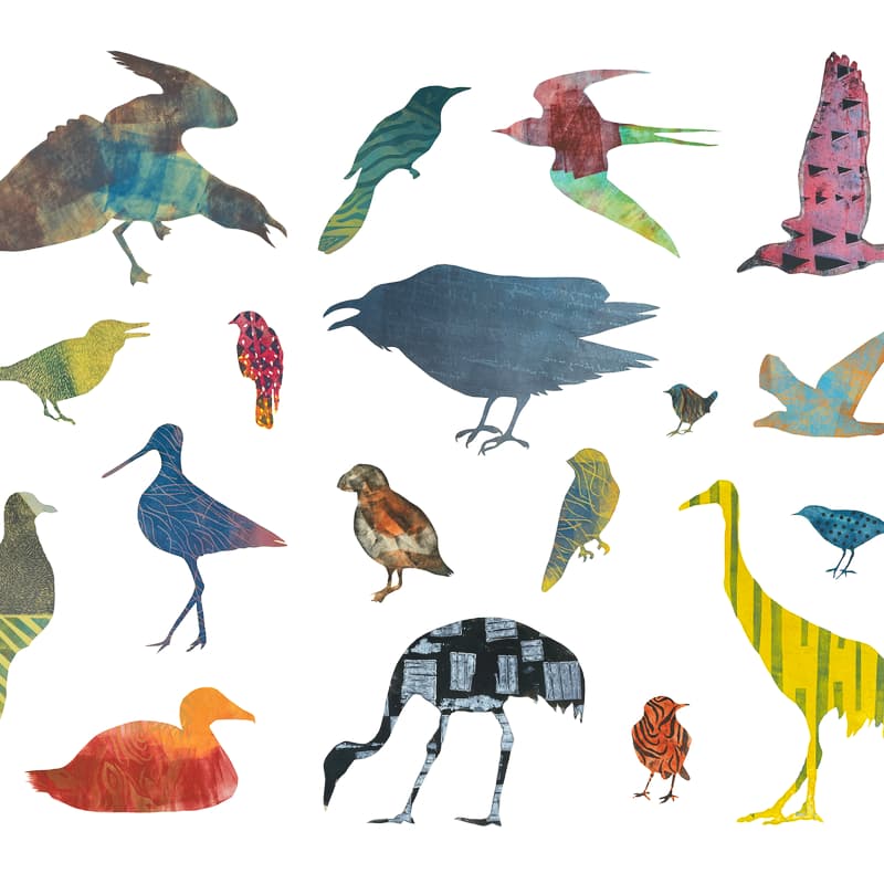 Cover Image for Flock: Early Birding and Tree Walk at Wright Park