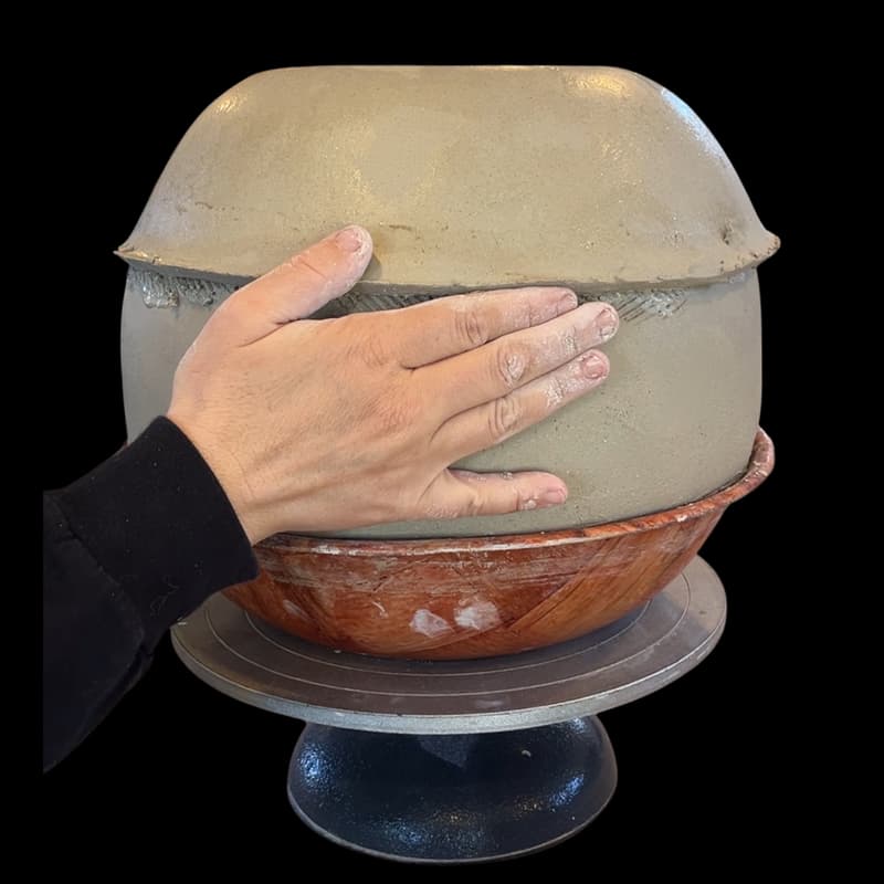 Cover Image for Morgan Peck