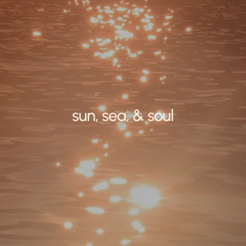 Cover Image for sun, sea, & soul: a tote painting workshop