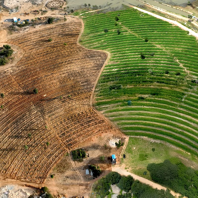 Cover Image for Investing in Nature-Based Infrastructure in the Age of AI
