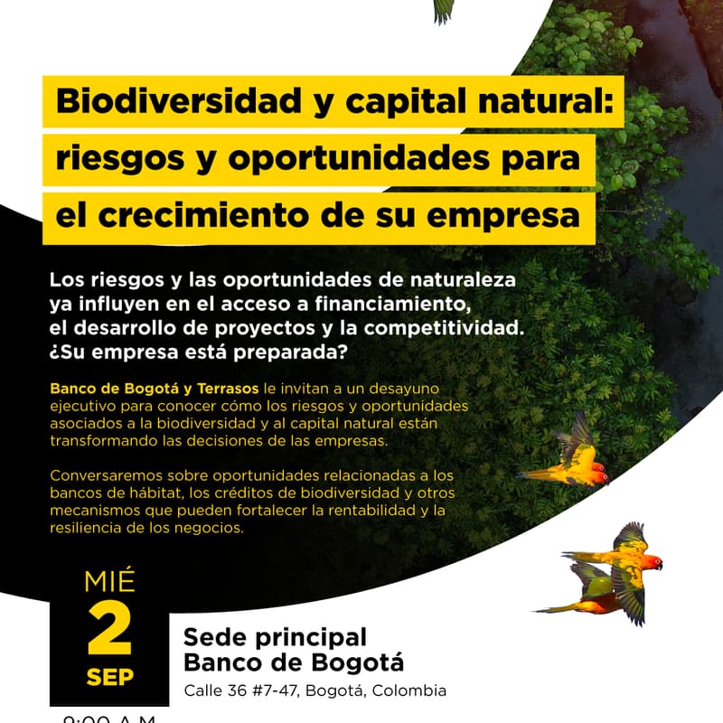 Cover Image for Biodiversidad y capital natural: riesgos y oportunidades para el crecimiento de su empresa