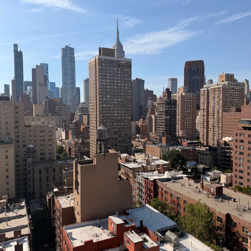Cover Image for Flinn on the Roof: Expansion Stories