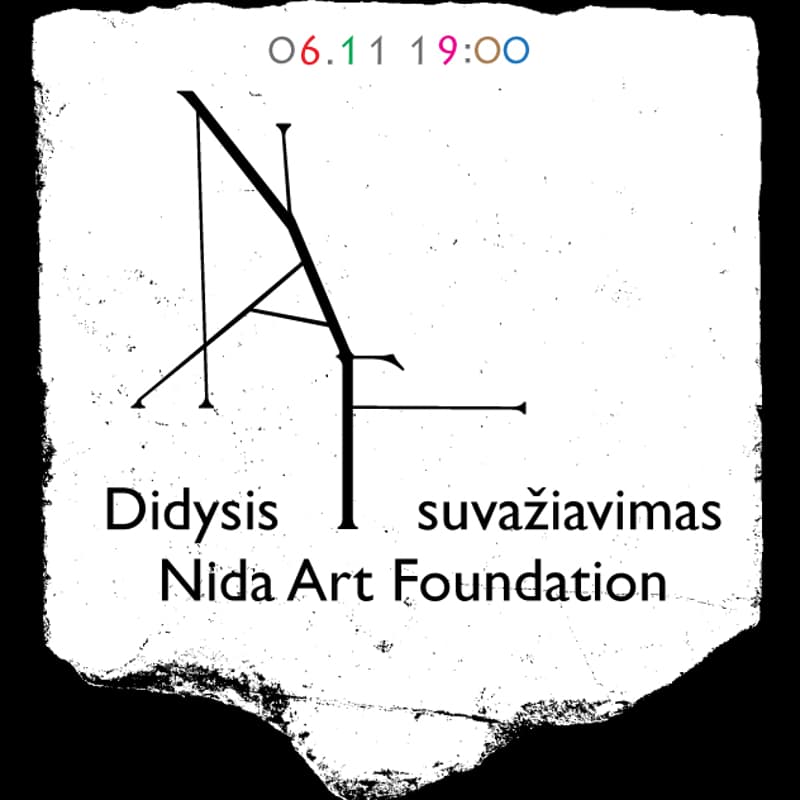 Cover Image for DIDYSIS NAF SUVAŽIAVIMAS