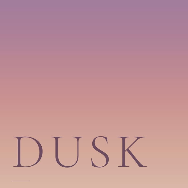 Cover Image for DUSK