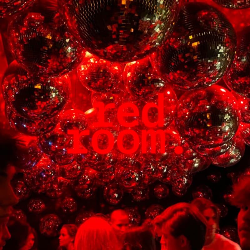 Cover Image for Red Room Vol.48 Presents: DUCK (Chepe's Birthday)