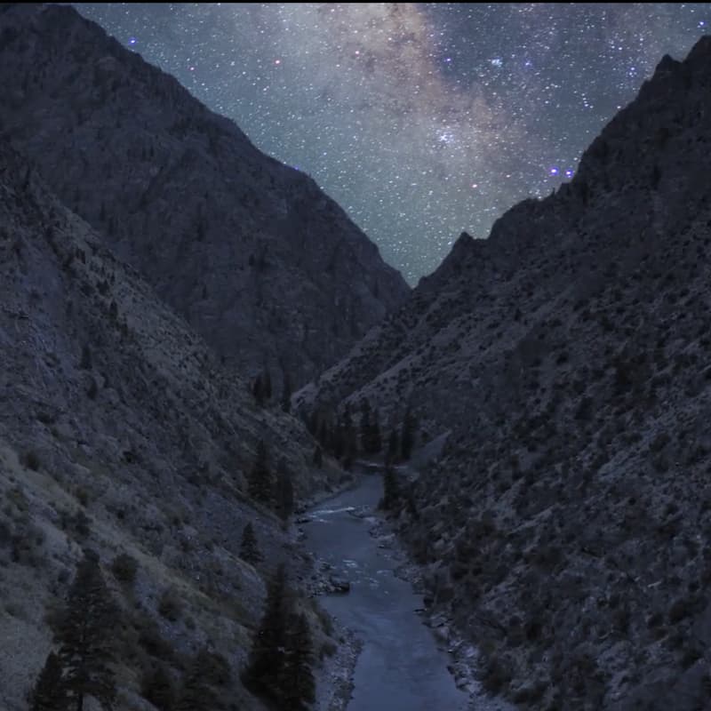 Cover Image for Sun Valley Forum | Sunday Film Screenings