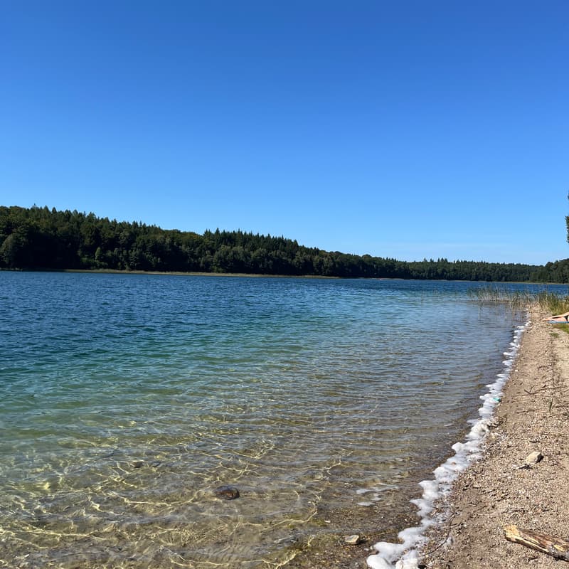 Cover Image for [15 km] Hike & swim from Stechlinsee to Fürstenberg ☀️