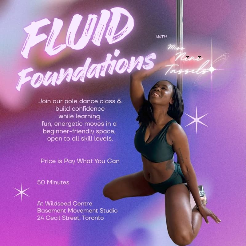 Cover Image for Fluid Foundations with NINI