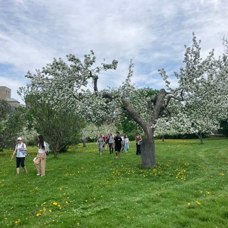 Cover Image for cueillette urbaine avec Les Fruits défendus