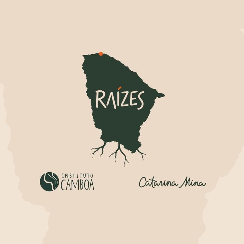 Cover Image for Lançamento Projeto Raízes