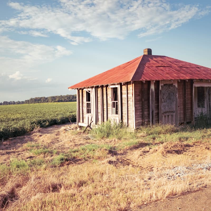 Cover Image for ROOTED OUT WEST