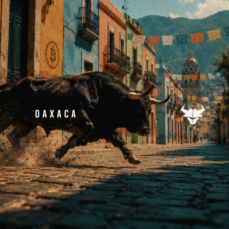 Foto de portada de OAXACA -
