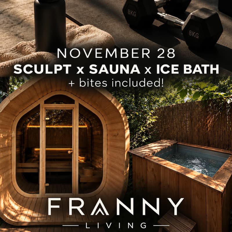 Cover Image for FRANNY DAY RESET