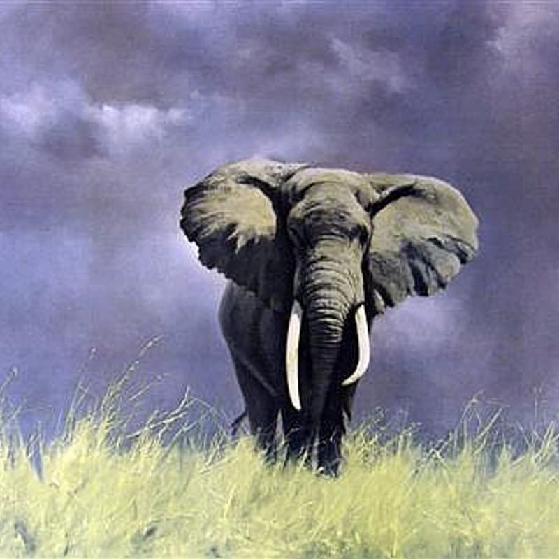 Cover Image for Experience