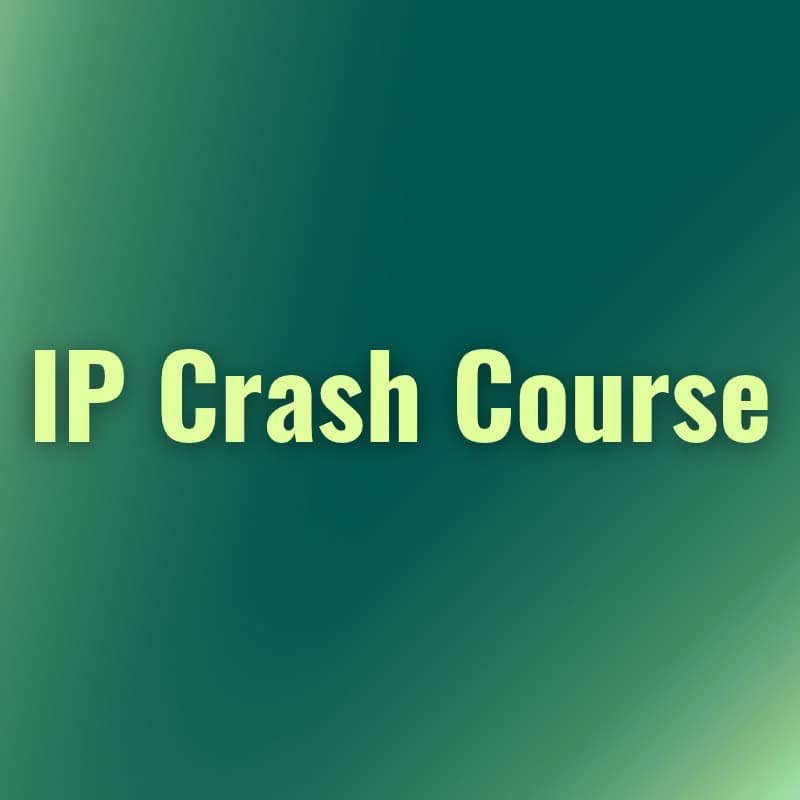 Cover Image for IP Crash Course with Brann & Sting