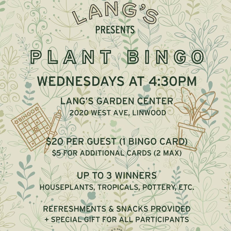 Cover Image for PLANT BINGO