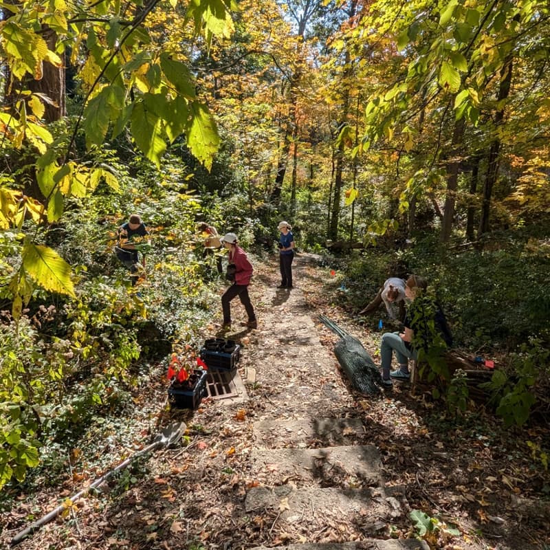 Cover Image for Kennedy Heights Community Nature Advocates