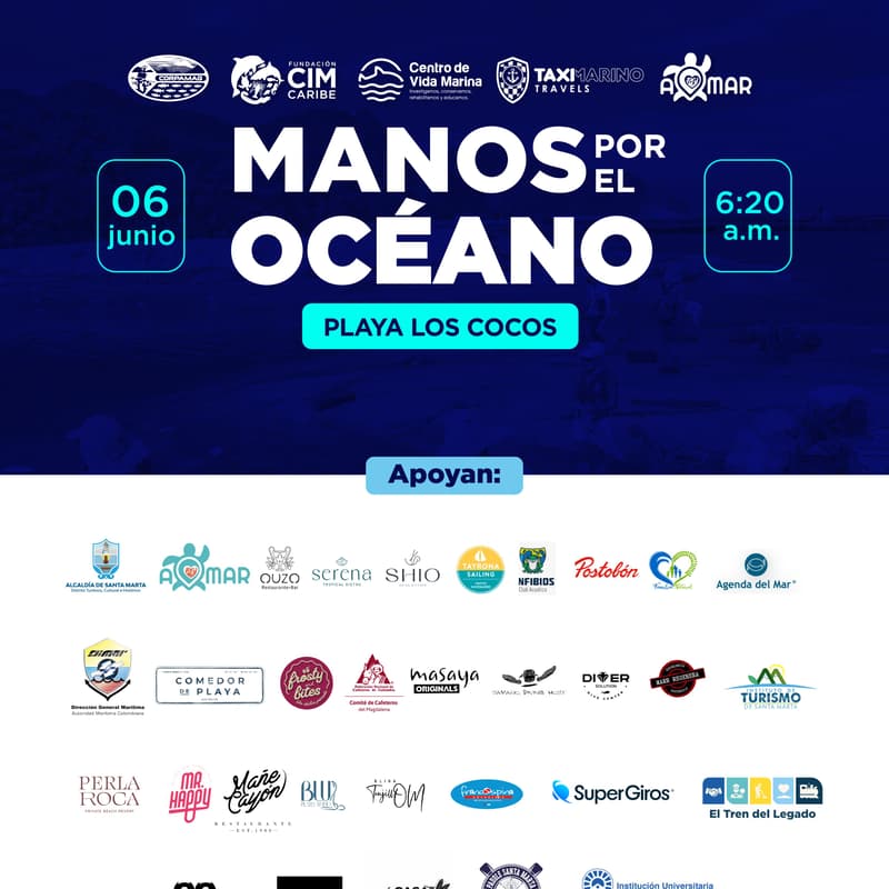 Cover Image for Manos Por el Oceano