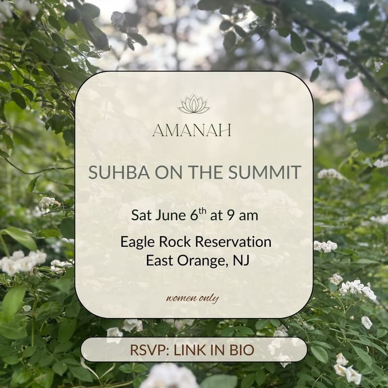 Cover Image for Suhba on the Summit