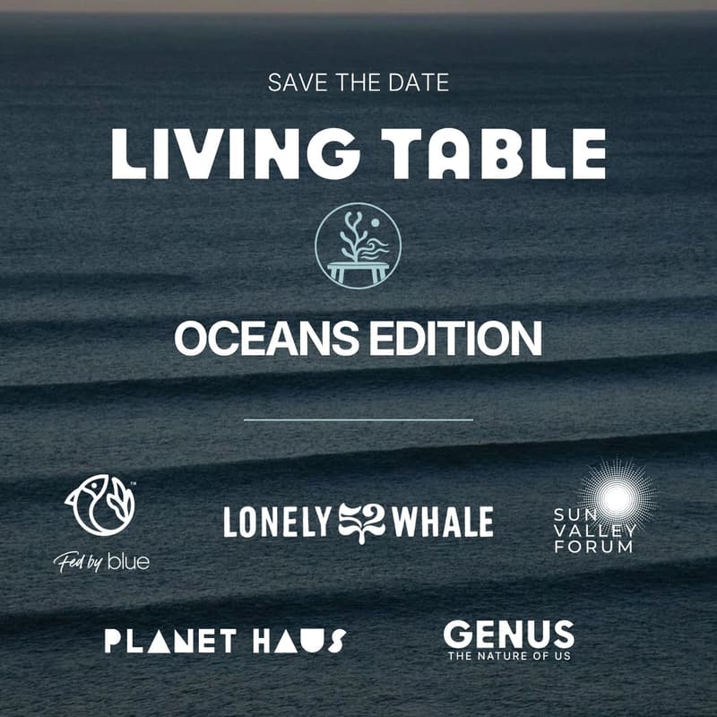 Cover Image for Living Table Oceans Edition