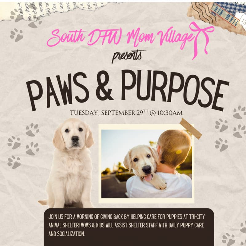 Cover Image for September 29th: Paws & Purpose: Volunteer Event