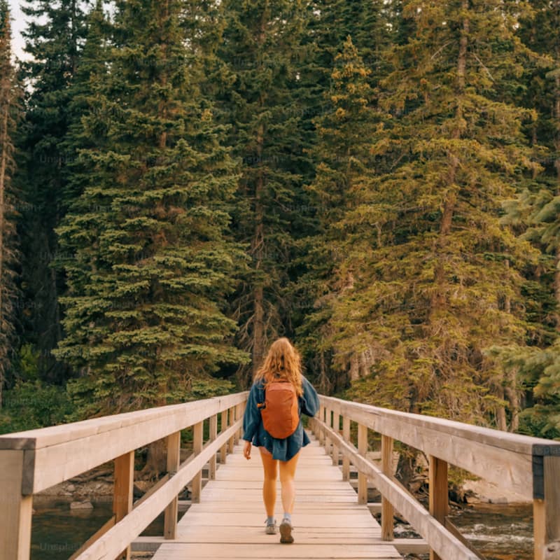 Cover Image for Cultivating a Deeper Knowing