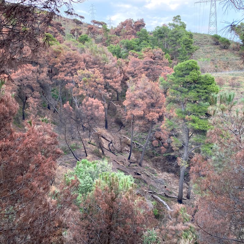 Cover Image for Fuego y Agua: paseo por la nueva realidad climática | Fire and Water: a Walk in the New Climate Reality