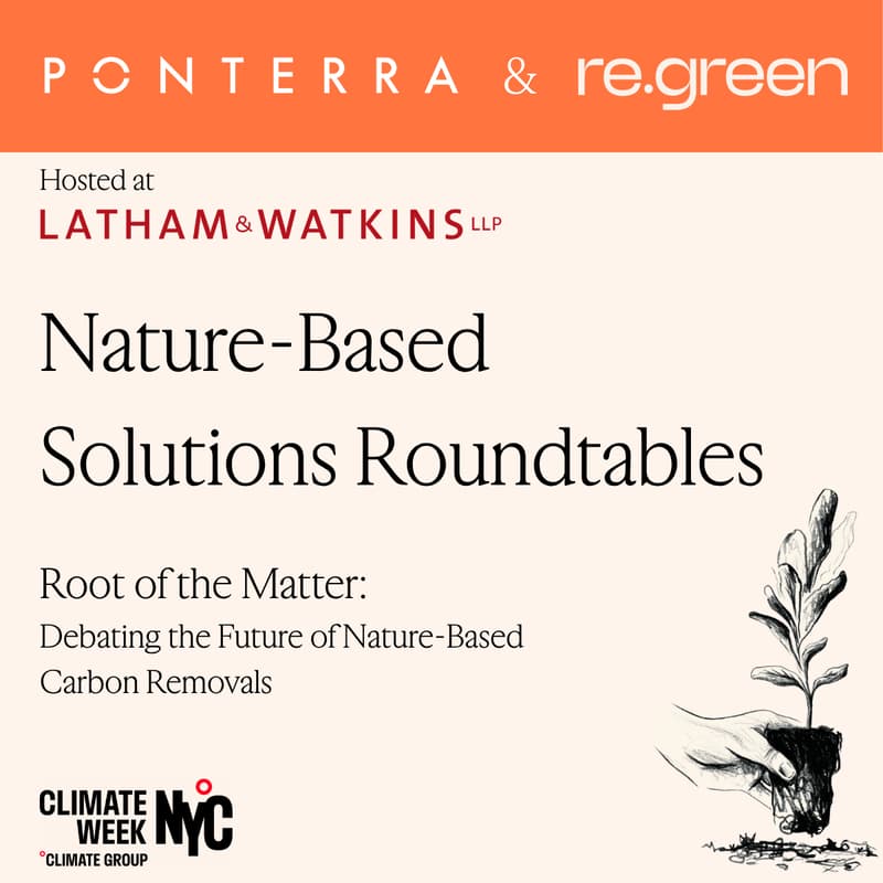 Cover Image for Root of the Matter: Debating the Future of Nature-Based Carbon Removal