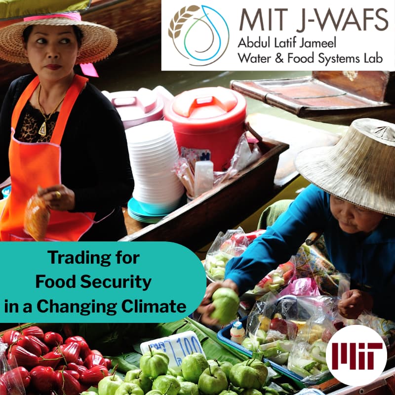 Cover Image for Trading for Food Security in a Changing Climate