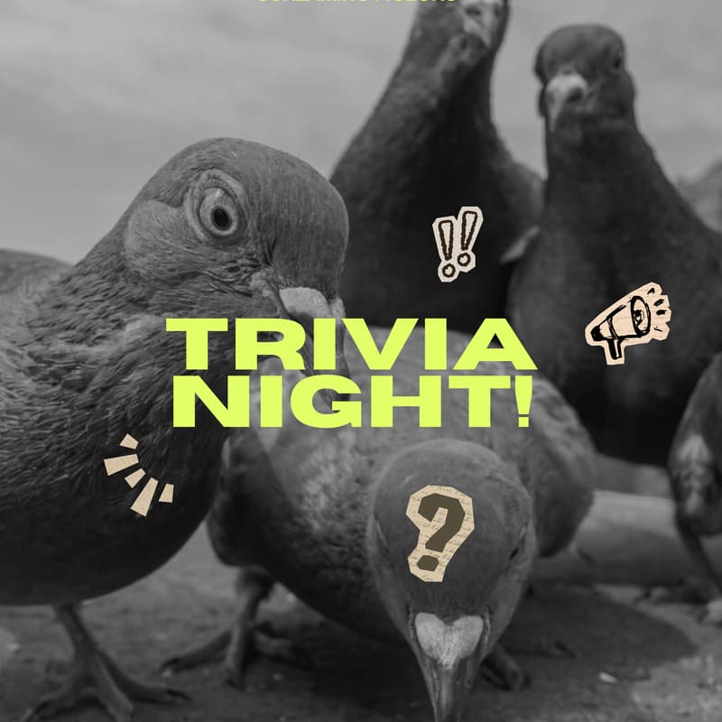 Cover Image for Use Your Bird Brain: Girl's Night Trivia!